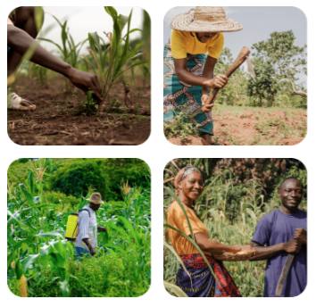 AI Hub for Sustainable Development